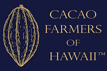 Cacao Farmers of Hawaii